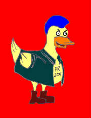 duck.jpg
